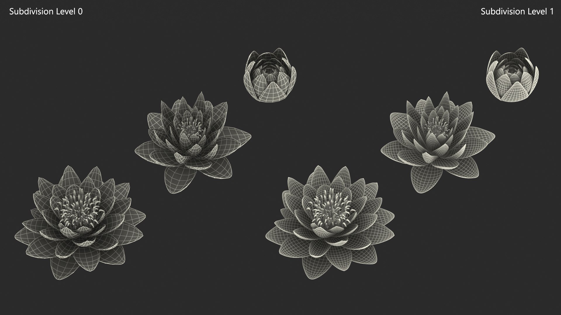 3D Nymphaea Siam Purple Blue https://p.turbosquid.com/ts-thumb/jp/25zMJy/0K/nymphaeasiampurplebluemb3dmodel010/jpg/1689361590/1920x1080/fit_q87/cb975c7e7dd615f6d8a0404147eb0807d97a7ac9/nymphaeasiampurplebluemb3dmodel010.jpg