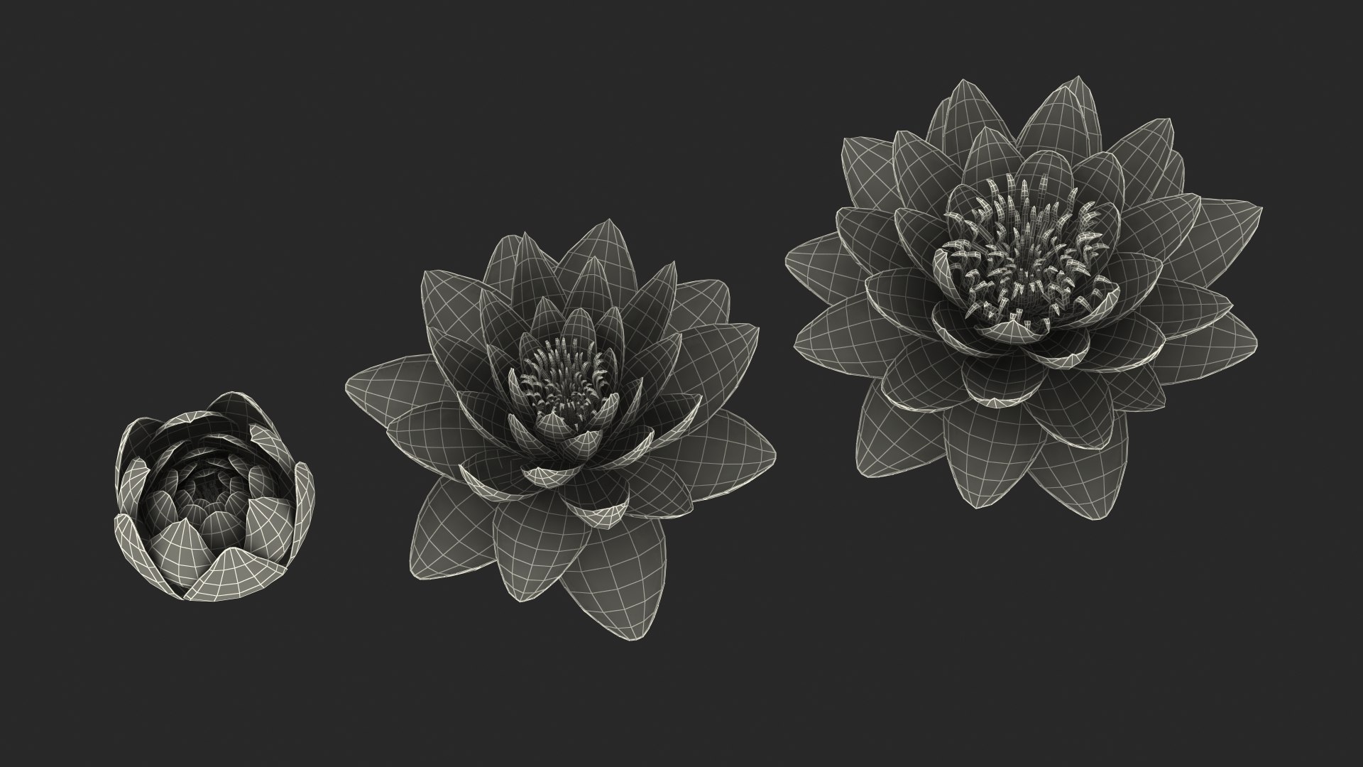 3D Nymphaea Siam Purple Blue https://p.turbosquid.com/ts-thumb/jp/25zMJy/KV/nymphaeasiampurplebluemb3dmodel019/jpg/1689361624/1920x1080/fit_q87/4f5af0b1c67714b336f4b0b60d205d211bad93df/nymphaeasiampurplebluemb3dmodel019.jpg