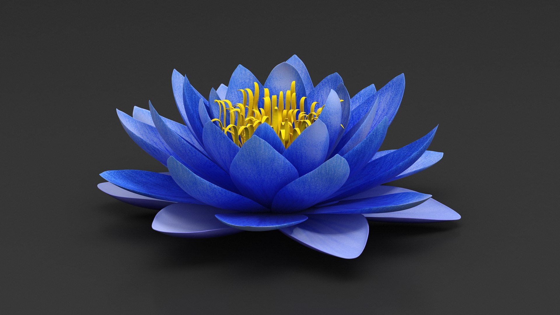 3D Nymphaea Siam Purple Blue https://p.turbosquid.com/ts-thumb/jp/25zMJy/QW/nymphaeasiampurplebluemb3dmodel006/jpg/1689361573/1920x1080/fit_q87/aeec9cdaa7773c6240238628326598c4286d05c3/nymphaeasiampurplebluemb3dmodel006.jpg