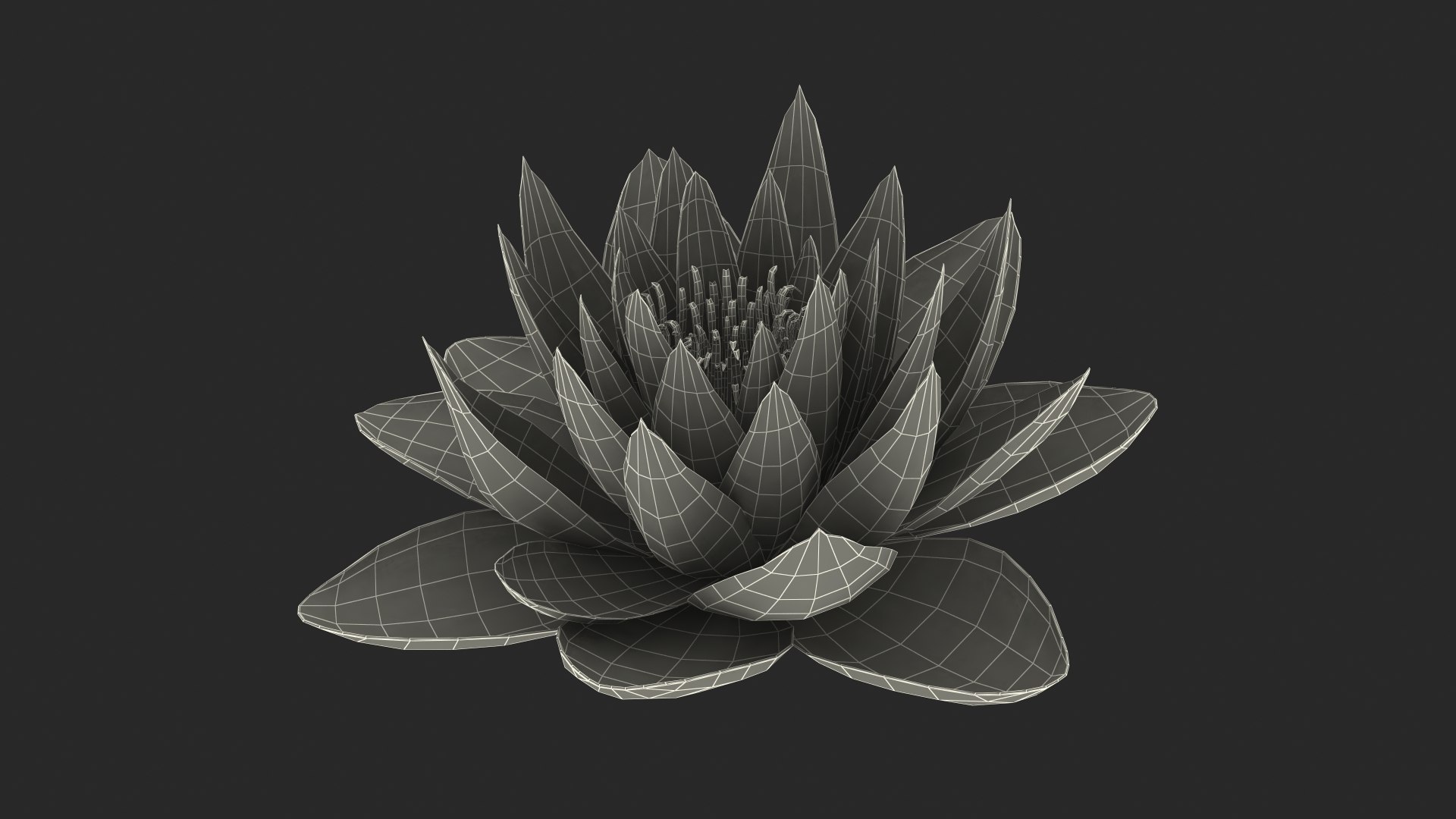 3D Nymphaea Siam Purple Blue https://p.turbosquid.com/ts-thumb/jp/25zMJy/RV/nymphaeasiampurplebluemb3dmodel022/jpg/1689361636/1920x1080/fit_q87/31bdee9f1cd8f7bde7135244d5294d809457cc8e/nymphaeasiampurplebluemb3dmodel022.jpg