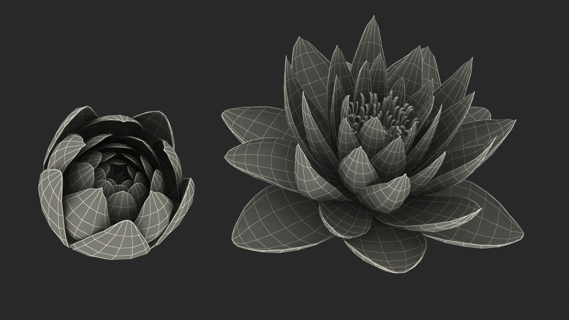 3D Nymphaea Siam Purple Blue https://p.turbosquid.com/ts-thumb/jp/25zMJy/Tg/nymphaeasiampurplebluemb3dmodel021/jpg/1689361633/1920x1080/fit_q87/51ab10fd95f55cb34064e86c5f0ef2da01260cfd/nymphaeasiampurplebluemb3dmodel021.jpg