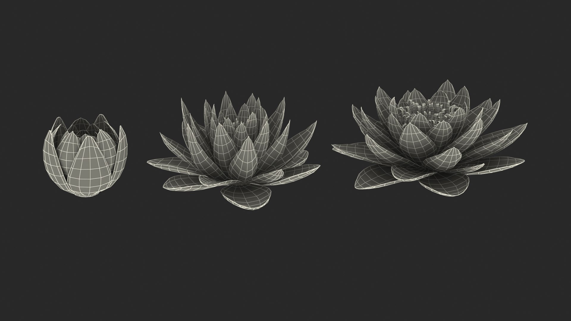 3D Nymphaea Siam Purple Blue https://p.turbosquid.com/ts-thumb/jp/25zMJy/vi/nymphaeasiampurplebluemb3dmodel018/jpg/1689361619/1920x1080/fit_q87/d91d5fd4f62335aa97ac956244dc9839b25156d9/nymphaeasiampurplebluemb3dmodel018.jpg