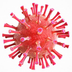 3D modeled coronavirus covid 19