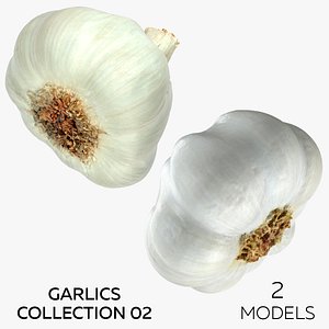 Garlics Collection 02 - 2 models model