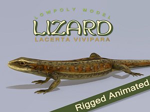 lizard lacerta vivipara model