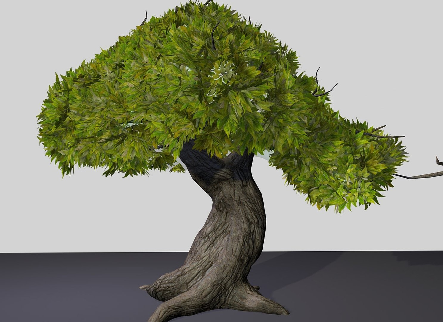 Tree Max