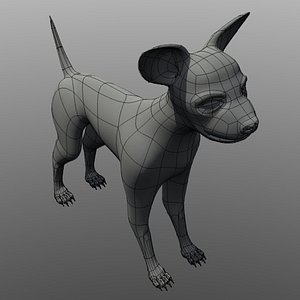 chihuahua 3d model