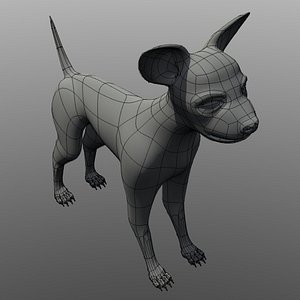 Chihuahua