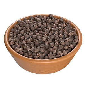 3D Dry peppercorn black bowl model