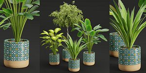 3D plants new collection vol 21-Blender