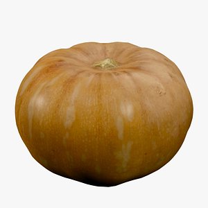 3D Pumpkin realistic