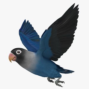agapornis personata var blue obj