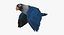 Agapornis Personata Var“Blue Masked Lovebird”