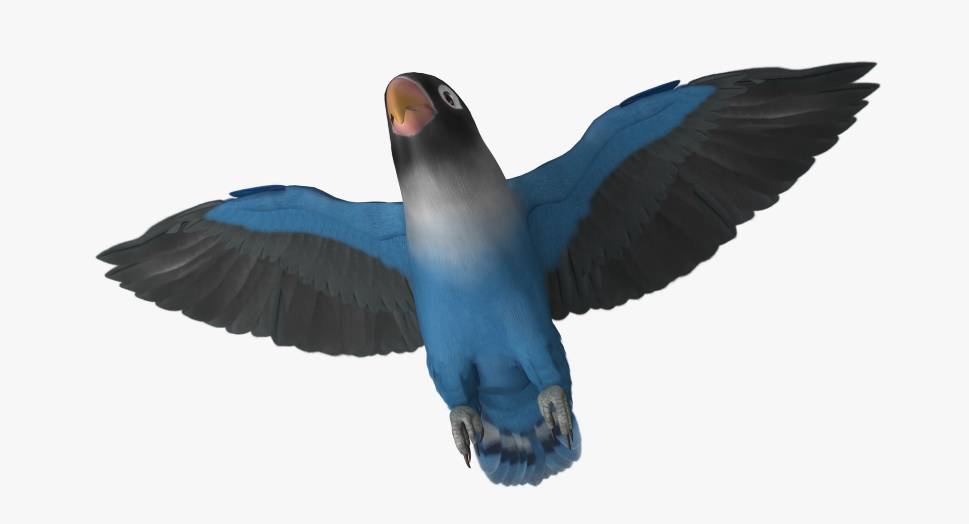 agapornis personata var blue obj https://p.turbosquid.com/ts-thumb/jp/lW6wPG/cs6ei3UO/r03/jpg/1429253527/1920x1080/fit_q87/b1b95157e6477ad8a5ae48c32fba12ab4371711a/r03.jpg