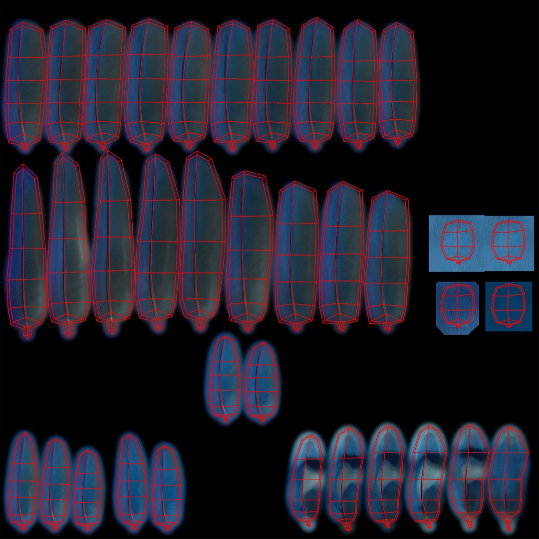 agapornis personata var blue obj https://p.turbosquid.com/ts-thumb/jp/lW6wPG/nSKNfLD7/feathers_uv/jpg/1429253794/1920x1080/fit_q87/eeb9564910012e6b490306889ddba9b841e72873/feathers_uv.jpg