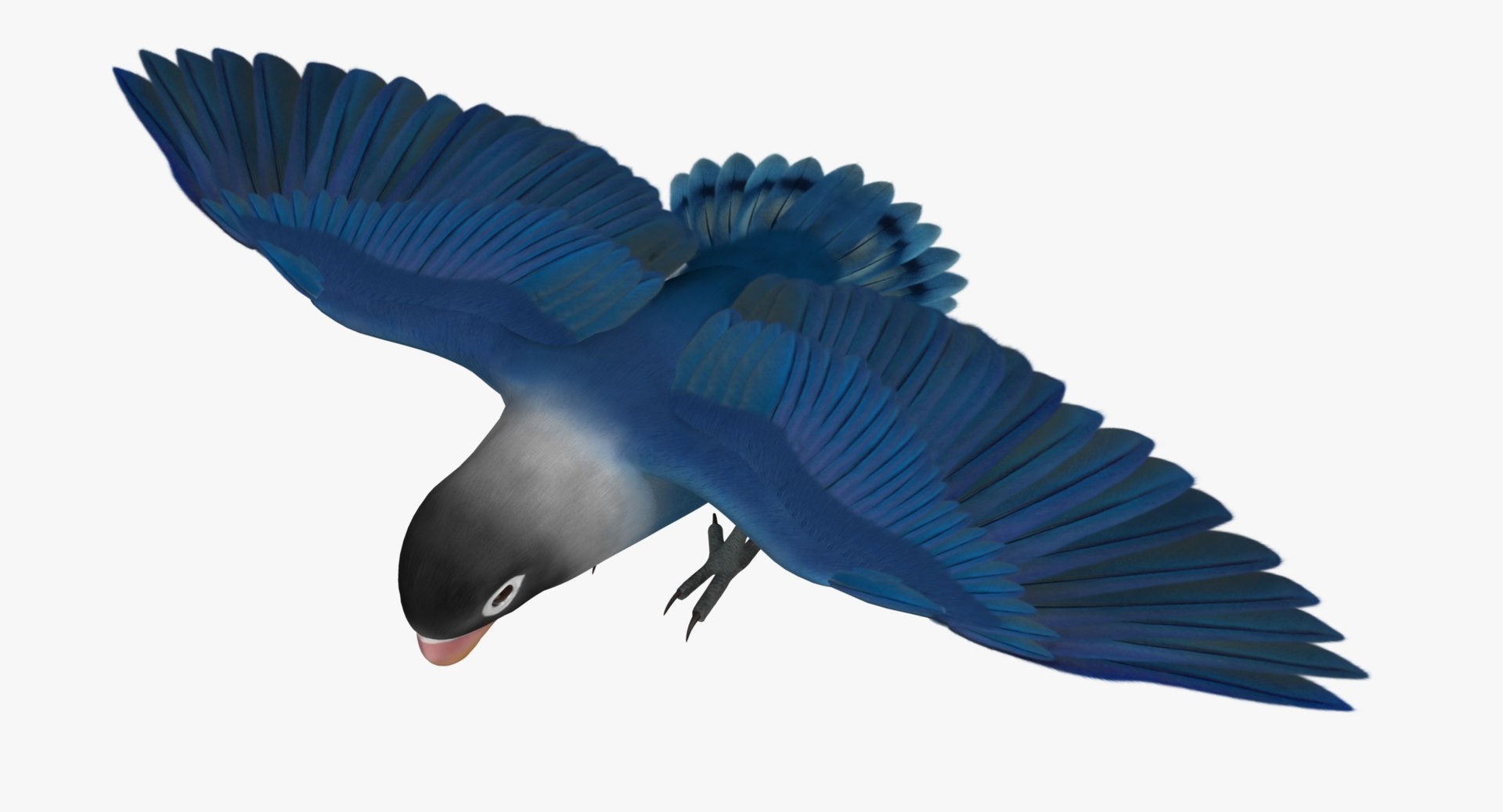 agapornis personata var blue obj https://p.turbosquid.com/ts-thumb/jp/lW6wPG/x9dPTwyh/rr01/jpg/1429253527/1920x1080/fit_q87/496e178f7e479125880c43c285485df9f51580f6/rr01.jpg