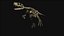 Herrerasaurus Dinosaur