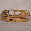 Herrerasaurus Dinosaur