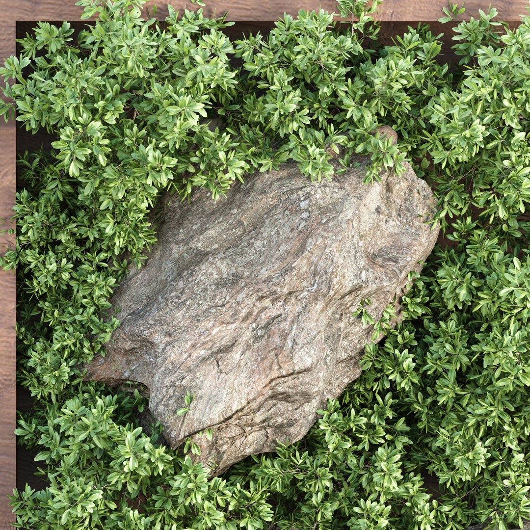 Vertical Garden vol 235 3D model https://p.turbosquid.com/ts-thumb/jq/0vR7Nh/0s/4/jpg/1694775033/1920x1080/fit_q87/3ec955717657cb7c0ba20b8fe4fa741d21df7719/4.jpg