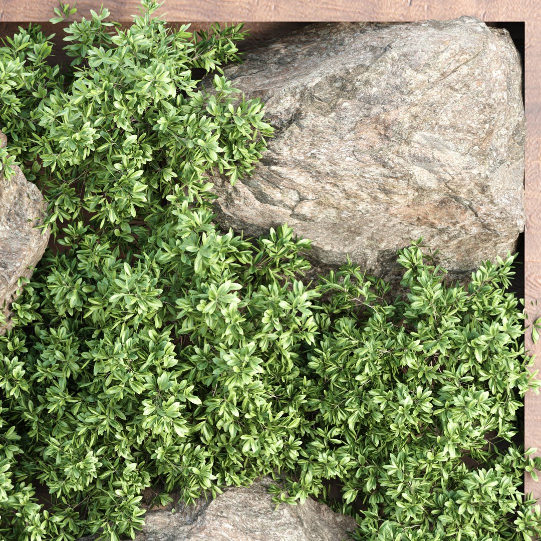 Vertical Garden vol 235 3D model https://p.turbosquid.com/ts-thumb/jq/0vR7Nh/RW/3/jpg/1694775031/1920x1080/fit_q87/a527772f70e6f8e715f11f9ee3d0788ce4230007/3.jpg
