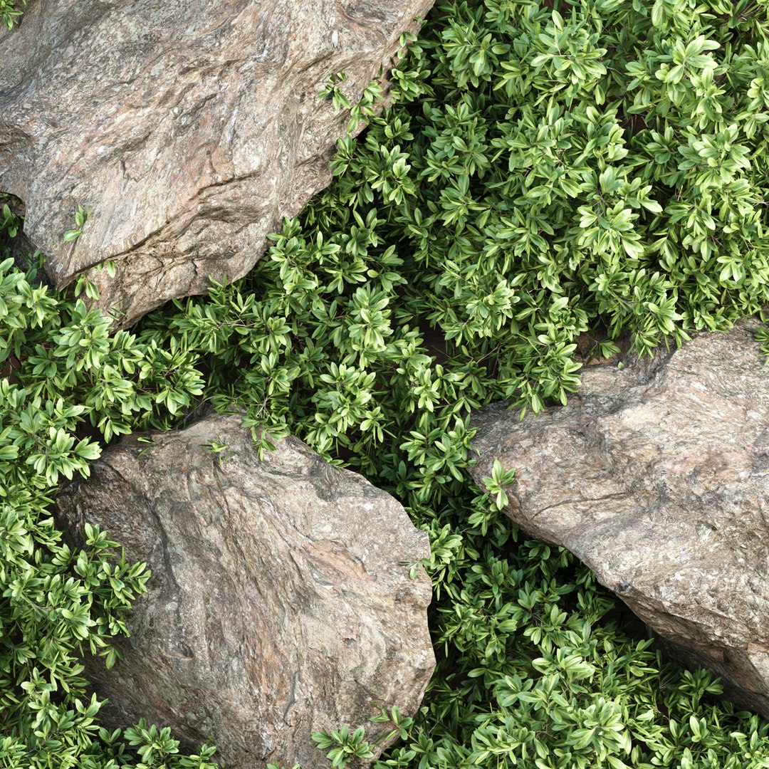 Vertical Garden vol 235 3D model https://p.turbosquid.com/ts-thumb/jq/0vR7Nh/tg/5/jpg/1694775032/1920x1080/fit_q87/cd7b65e0372409b81090ae42b668616df83afd22/5.jpg