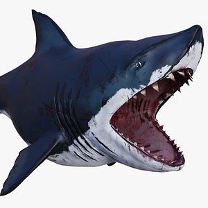 3D Toony fat shark