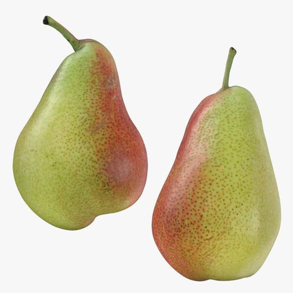 Forelle Pear Collection 2 3D model