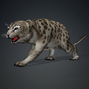 Leopard Baby-A2 model