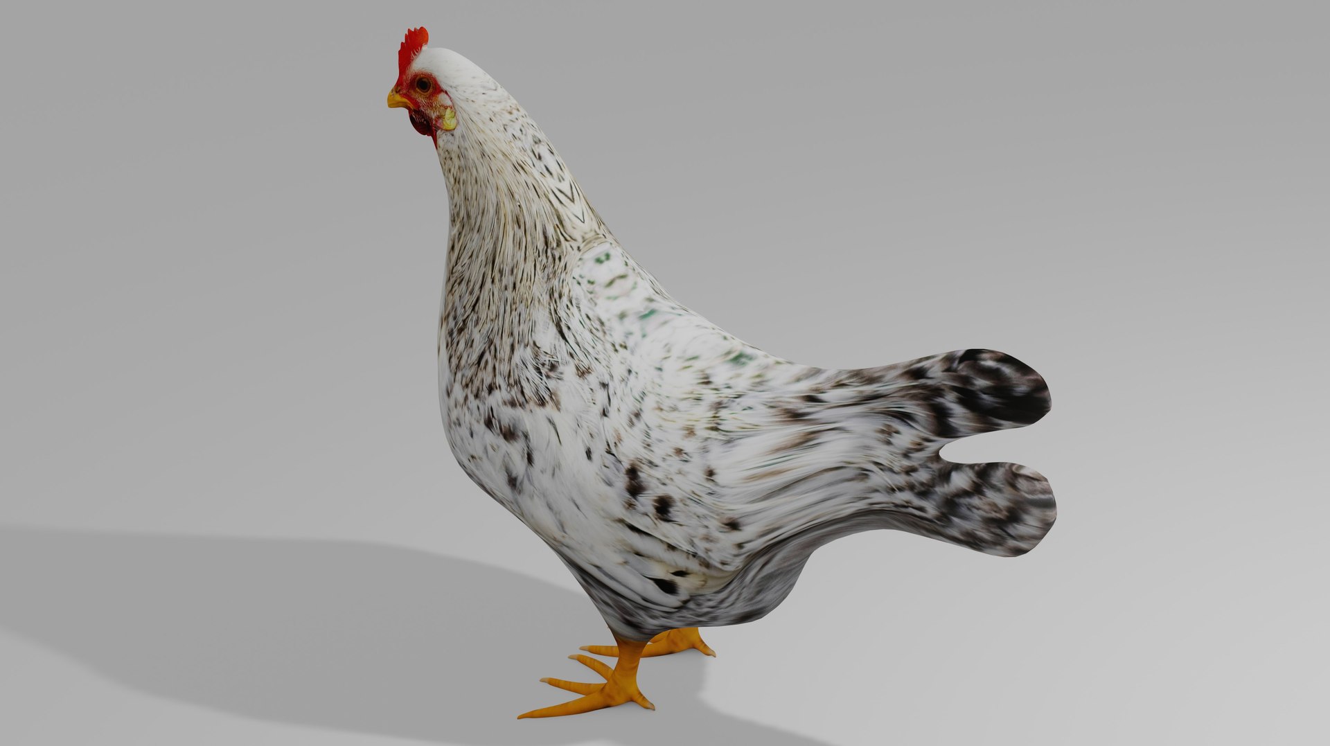 3D HEN OBJ - TurboSquid 2241782