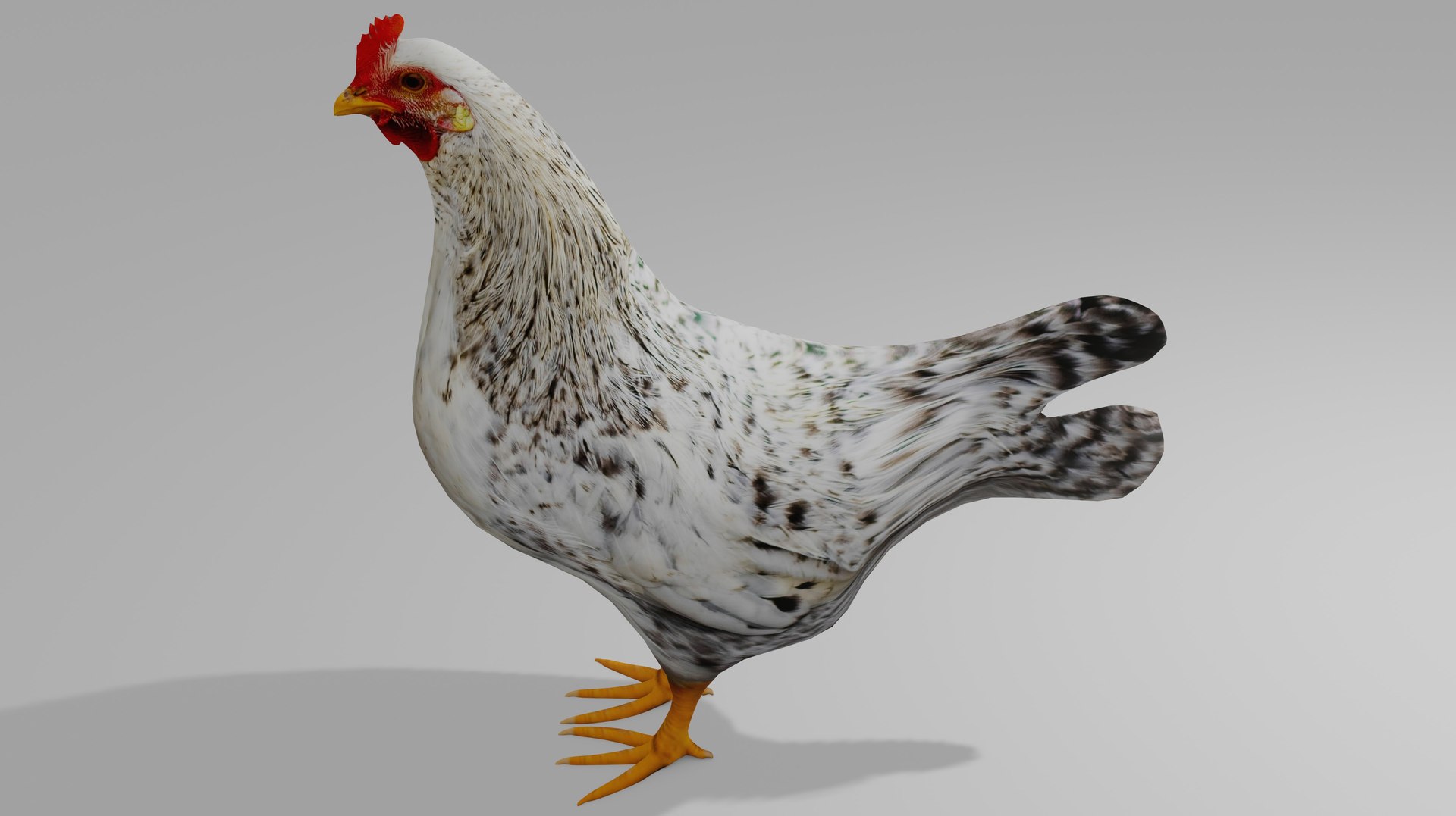 3D HEN OBJ https://p.turbosquid.com/ts-thumb/jq/MPc3Ow/nh/3/jpg/1718312442/1920x1080/fit_q87/cee19701e9fc497baff501aab1951ef018b50227/3.jpg