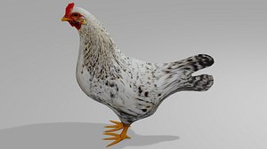 3D HEN OBJ