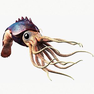 Squid Creature