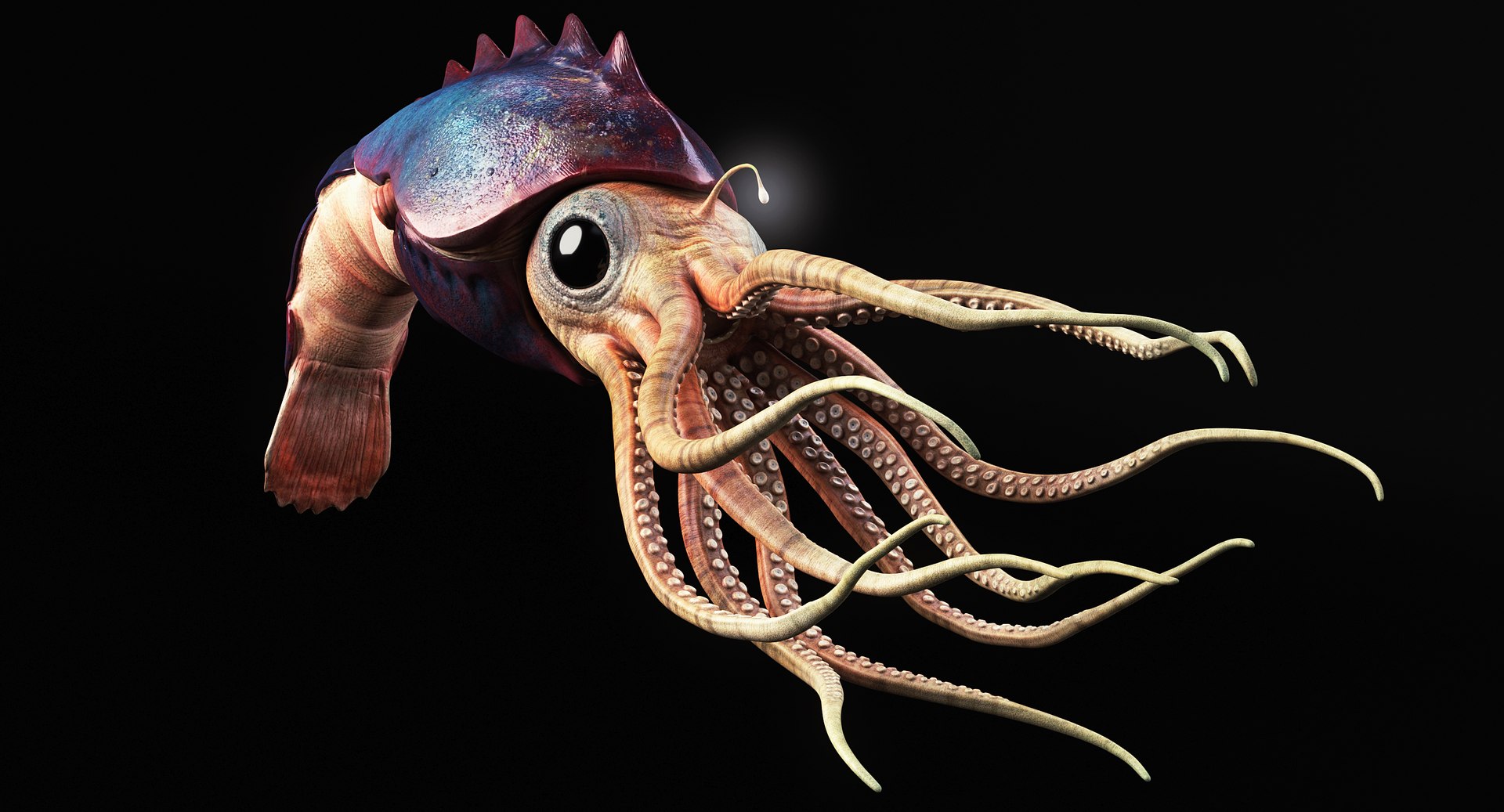 Squid Creature Model - TurboSquid 1271008