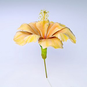 3D Yellow Hibiscus Flower