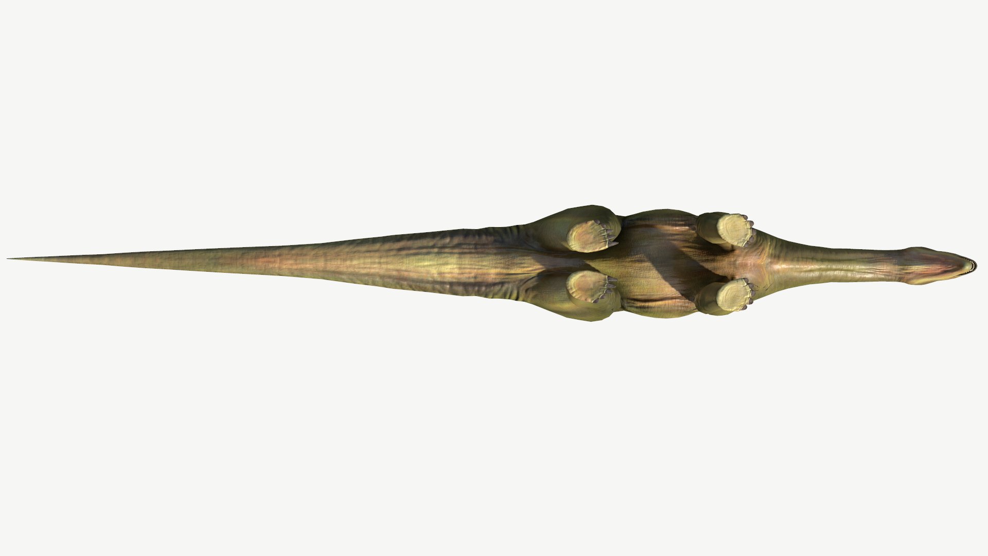 Amargasaurus 3D https://p.turbosquid.com/ts-thumb/jq/Q62CDl/7P/5/png/1728455832/1920x1080/fit_q87/503d3f029495334df343389d08cd75a42a3b5a86/5.jpg