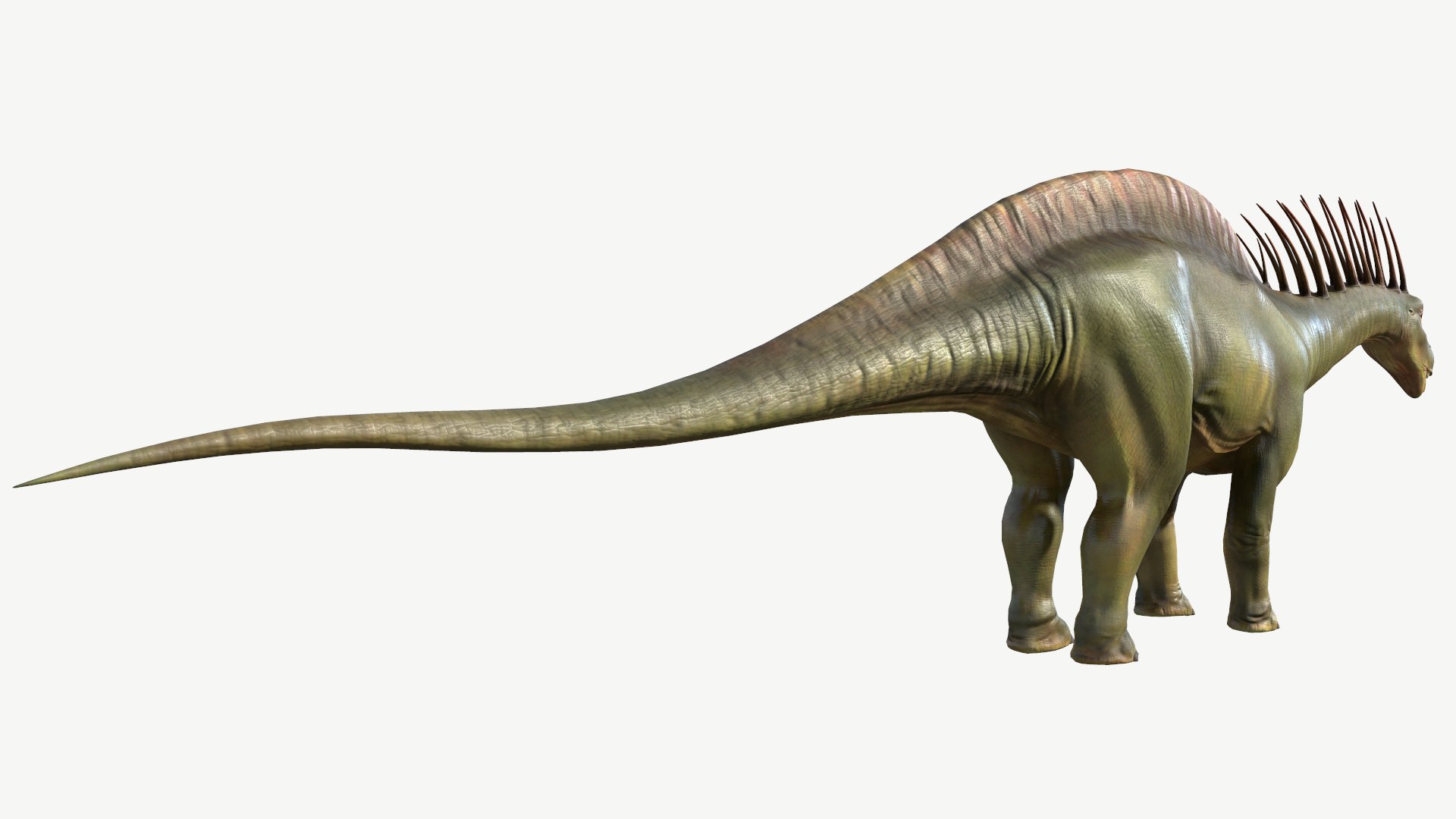Amargasaurus 3D https://p.turbosquid.com/ts-thumb/jq/Q62CDl/FM/3/png/1728455830/1920x1080/fit_q87/4d3d0d4e624420e8d0a2f7bd344b55650b2645f6/3.jpg