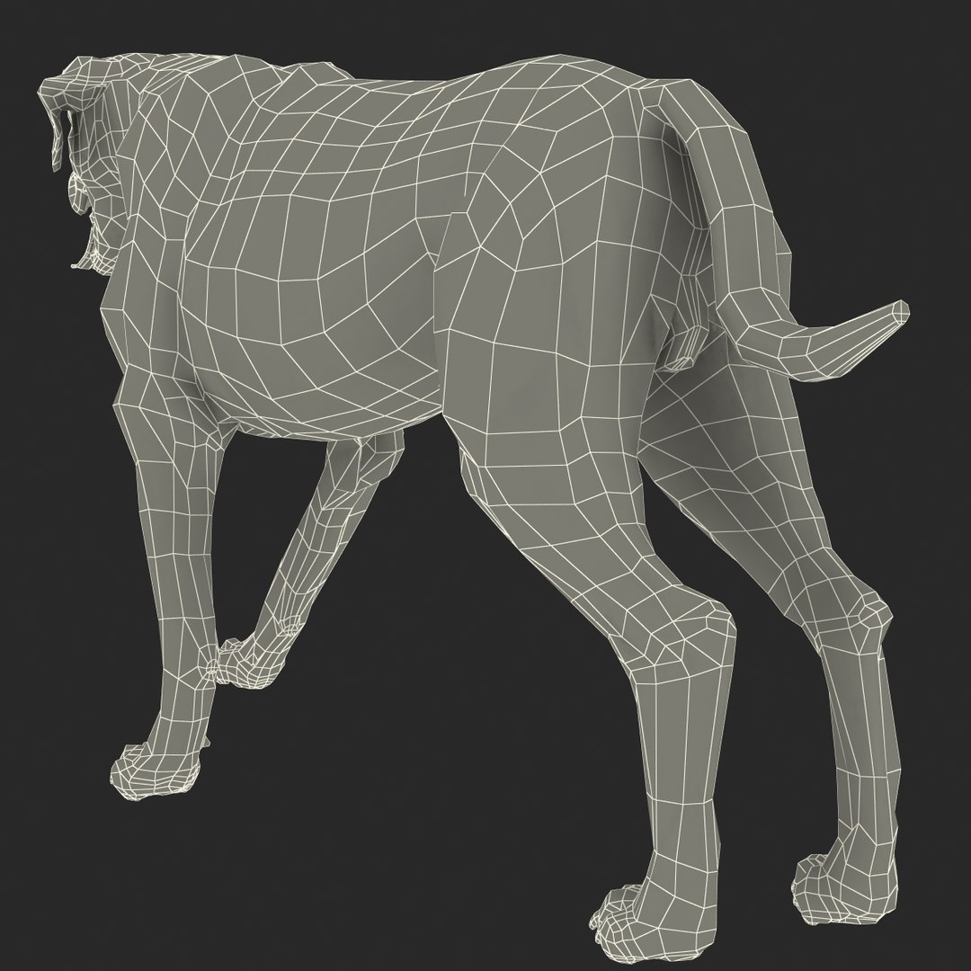 rottweiler rigged max https://p.turbosquid.com/ts-thumb/jq/S2dwbE/1rr4daFO/rottweilerrigged_323/jpg/1415828643/1920x1080/fit_q87/db4305cad3f29a6ef8504f3a832a3b5ac466454a/rottweilerrigged_323.jpg