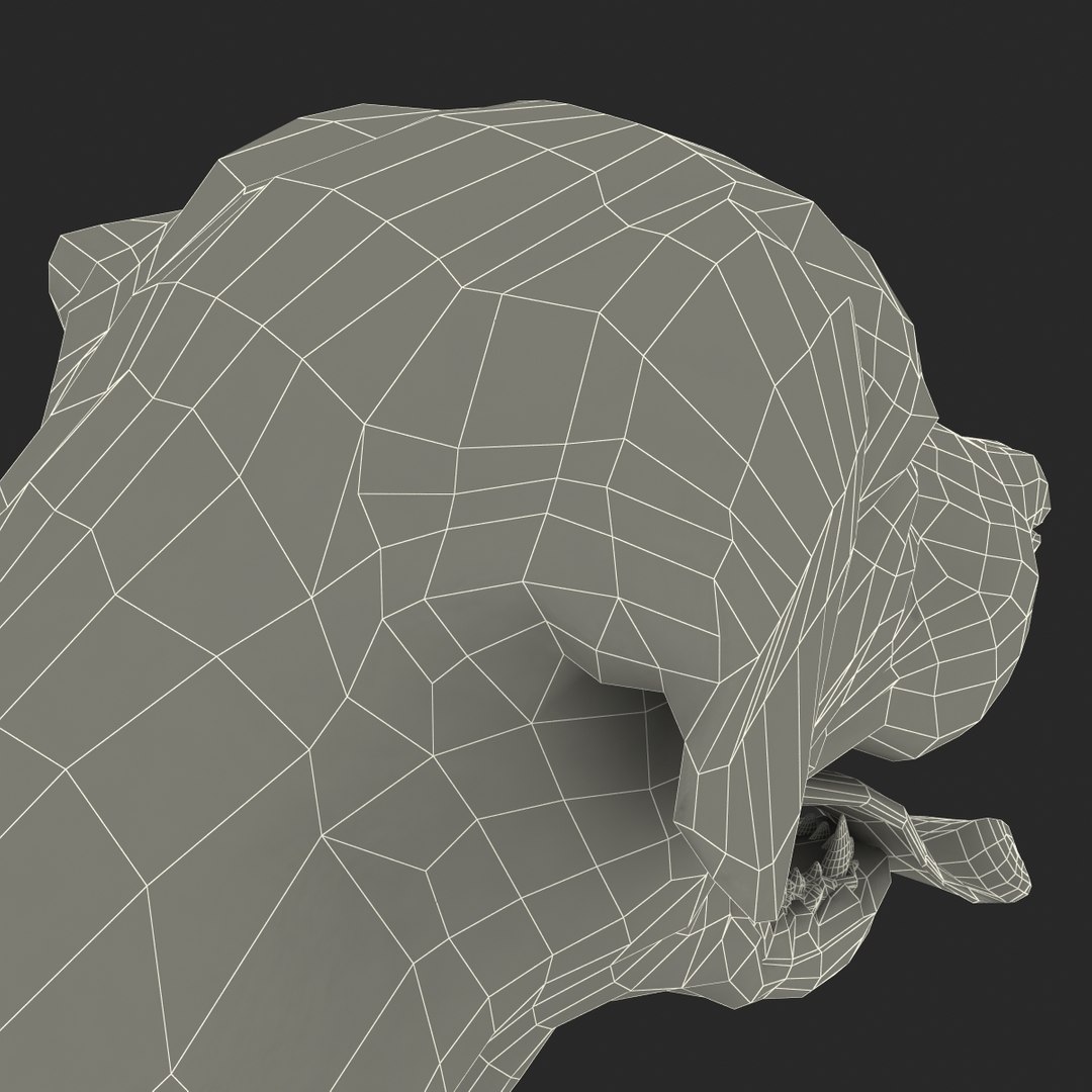 rottweiler rigged max https://p.turbosquid.com/ts-thumb/jq/S2dwbE/1tsbftus/rottweilerrigged_326/jpg/1415828648/1920x1080/fit_q87/4596b34601597aaf20224f71ad9e1c6e7e5ef028/rottweilerrigged_326.jpg