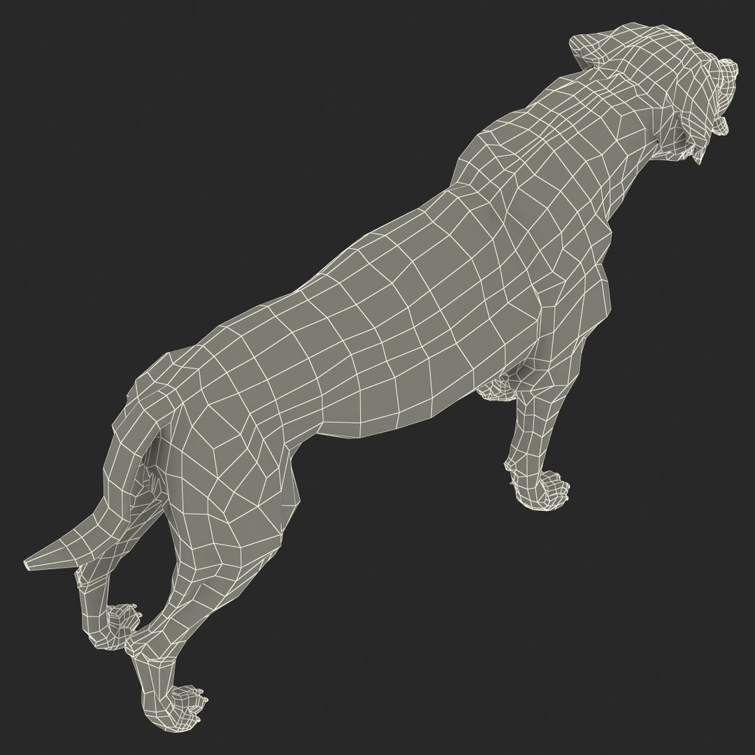 rottweiler rigged max https://p.turbosquid.com/ts-thumb/jq/S2dwbE/8NdFOotk/rottweilerrigged_325/jpg/1415828646/1920x1080/fit_q87/4cab3eac79824e85e37c5f2b024577d0013f403b/rottweilerrigged_325.jpg