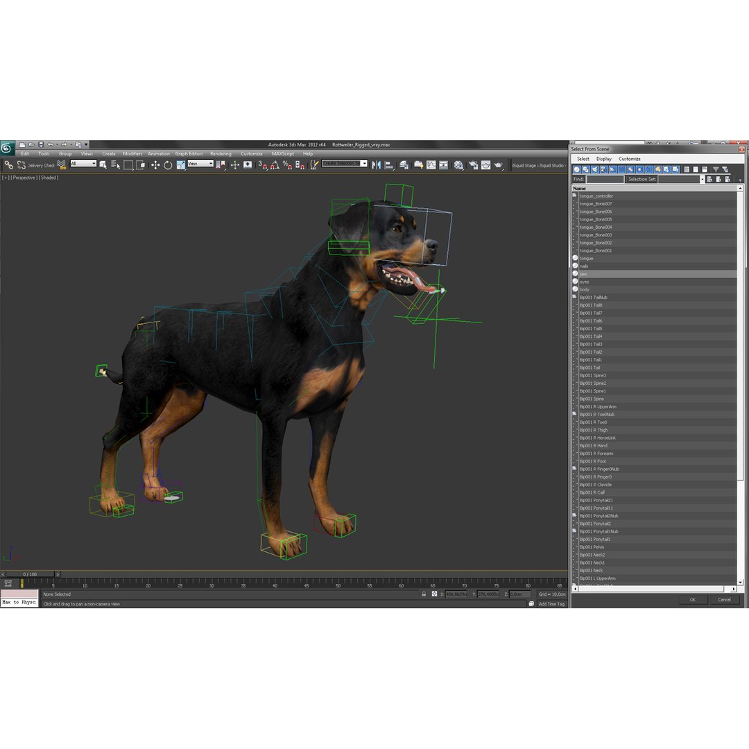 rottweiler rigged max https://p.turbosquid.com/ts-thumb/jq/S2dwbE/F80zfutd/rottweilerrigged_299/jpg/1415828609/1920x1080/fit_q87/858b6ea85b17ad6276389c73070f1a07f03b8eac/rottweilerrigged_299.jpg