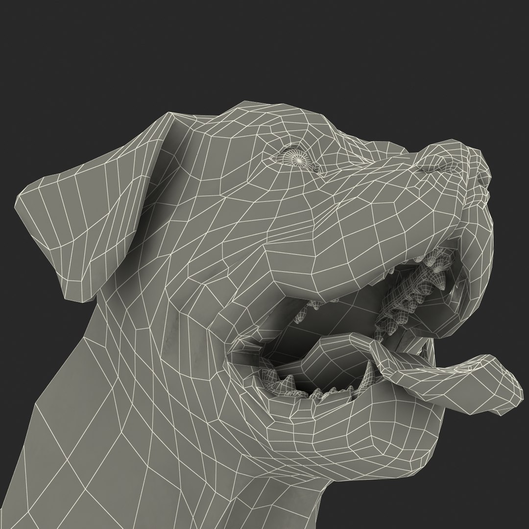 rottweiler rigged max https://p.turbosquid.com/ts-thumb/jq/S2dwbE/NCmF5TI9/rottweilerrigged_296/jpg/1415828580/1920x1080/fit_q87/7db58483490b92b3eb255e60d37e3e223eac2fb3/rottweilerrigged_296.jpg