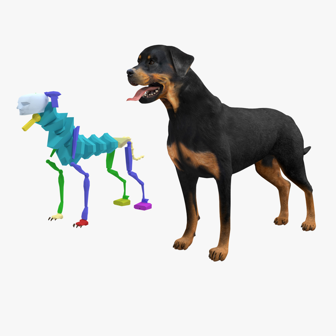 rottweiler rigged max https://p.turbosquid.com/ts-thumb/jq/S2dwbE/QniijgJw/turntablefile_363_1.jpg4466a7c739714c82b90a808848d361c5zoom/jpg/1415828421/1920x1080/turn_fit_q99/17134b45caa311673350713f934e55b88101721d/turntablefile_363_1.jpg4466a7c739714c82b90a808848d361c5zoom-1.jpg
