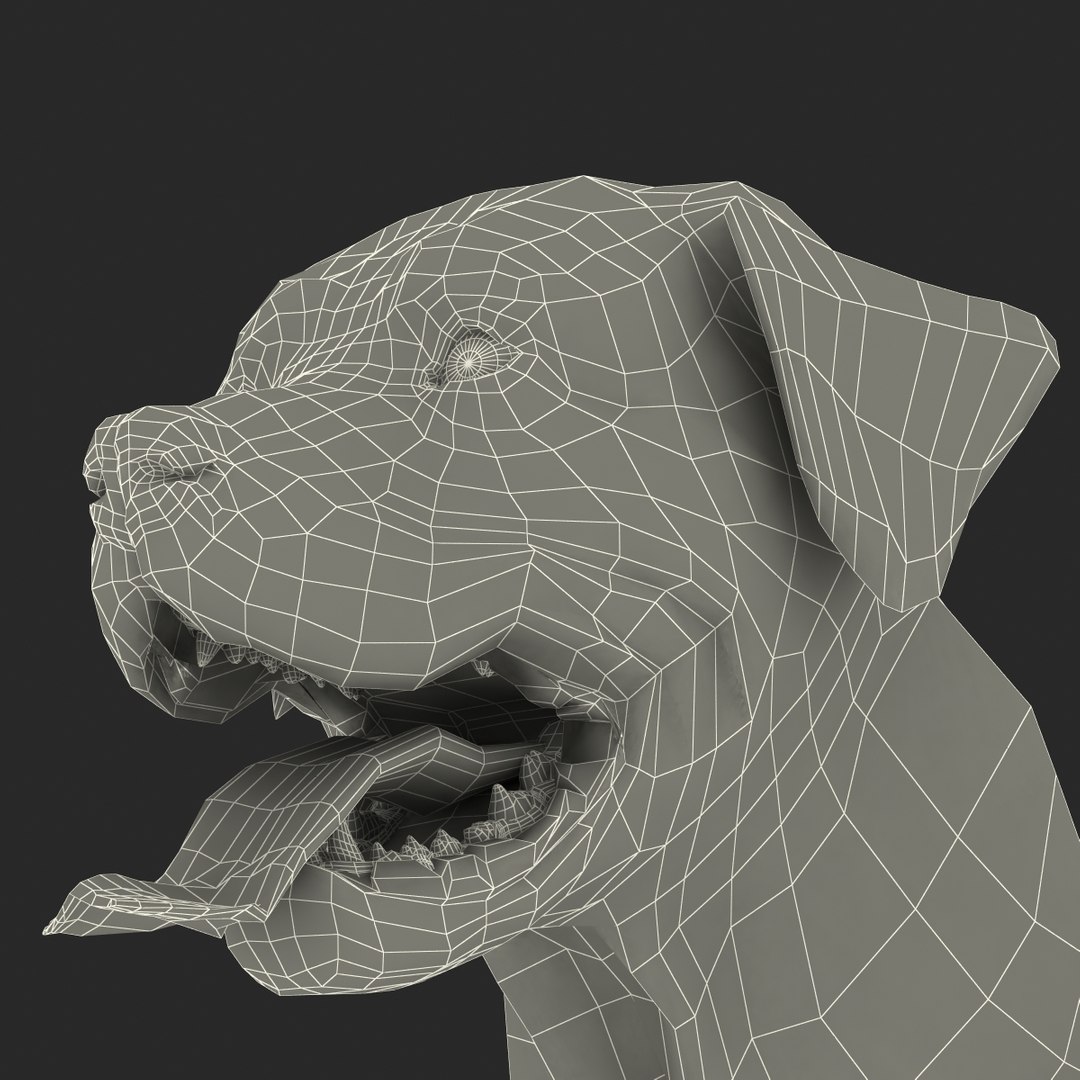 rottweiler rigged max https://p.turbosquid.com/ts-thumb/jq/S2dwbE/Qq9PtqoV/rottweilerrigged_327/jpg/1415828650/1920x1080/fit_q87/2f401fba2a6f66d1c989426513d4848288998f97/rottweilerrigged_327.jpg