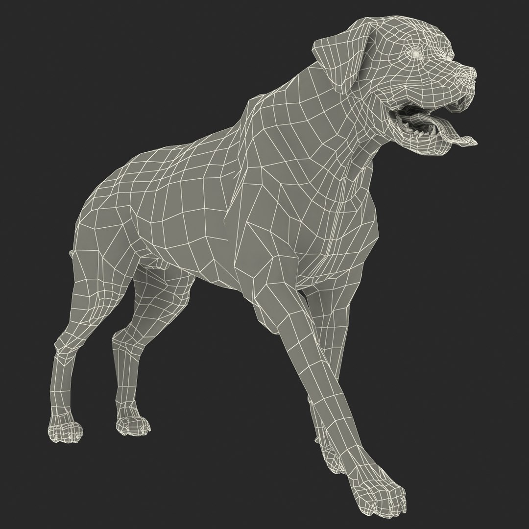 rottweiler rigged max https://p.turbosquid.com/ts-thumb/jq/S2dwbE/RAvlbZdd/rottweilerrigged_321/jpg/1415828639/1920x1080/fit_q87/7cdefb8ef7cce46ac095c3a0cc17c2e5bb2d1880/rottweilerrigged_321.jpg