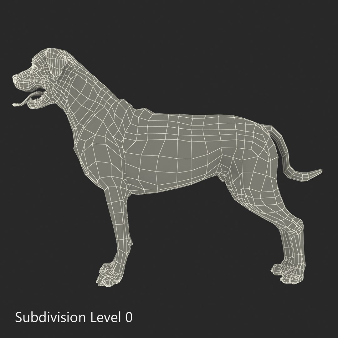 rottweiler rigged max https://p.turbosquid.com/ts-thumb/jq/S2dwbE/SApJfZCU/rottweilerrigged_319/jpg/1415828665/1920x1080/fit_q87/f09fccf74151d57e0756e9263f5b6f6319b483ed/rottweilerrigged_319.jpg
