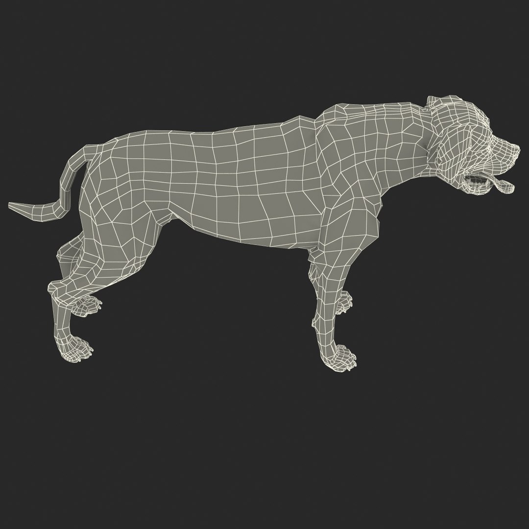 rottweiler rigged max https://p.turbosquid.com/ts-thumb/jq/S2dwbE/Spu9AxQR/rottweilerrigged_324/jpg/1415828667/1920x1080/fit_q87/a986b4623e4d7406acfb6f68f5ff015ed5734bde/rottweilerrigged_324.jpg