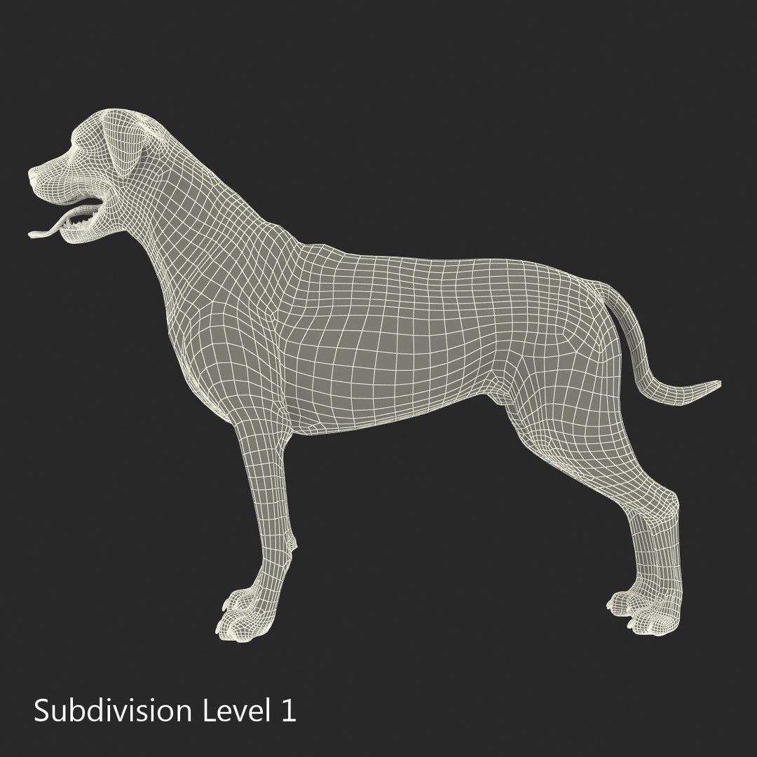 rottweiler rigged max https://p.turbosquid.com/ts-thumb/jq/S2dwbE/VcJyGWir/rottweilerrigged_320/jpg/1415828659/1920x1080/fit_q87/d0a681101c487a8f70cc399002c0af62b541e48c/rottweilerrigged_320.jpg