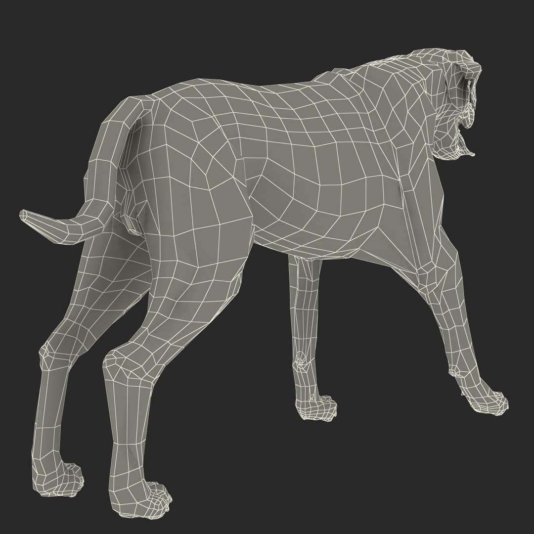 rottweiler rigged max https://p.turbosquid.com/ts-thumb/jq/S2dwbE/WsIeg7Fa/rottweilerrigged_322/jpg/1415828641/1920x1080/fit_q87/262546c6c2c43927999067be89bbfa894d72362b/rottweilerrigged_322.jpg