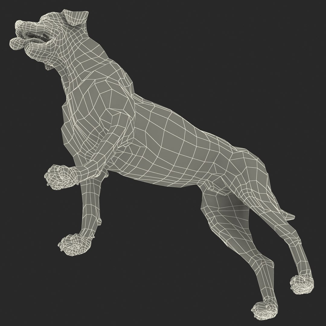 rottweiler rigged max https://p.turbosquid.com/ts-thumb/jq/S2dwbE/bvCFZOvR/rottweilerrigged_328/jpg/1415828674/1920x1080/fit_q87/52623ec6f507a2d7c05fbfa6ed637c49be8a92fb/rottweilerrigged_328.jpg
