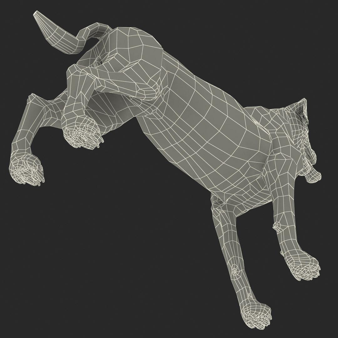 rottweiler rigged max https://p.turbosquid.com/ts-thumb/jq/S2dwbE/eulptpb1/rottweilerrigged_329/jpg/1415828654/1920x1080/fit_q87/a6f7d5e916ee3fae6c810f1c6aaf4c9b511474fb/rottweilerrigged_329.jpg